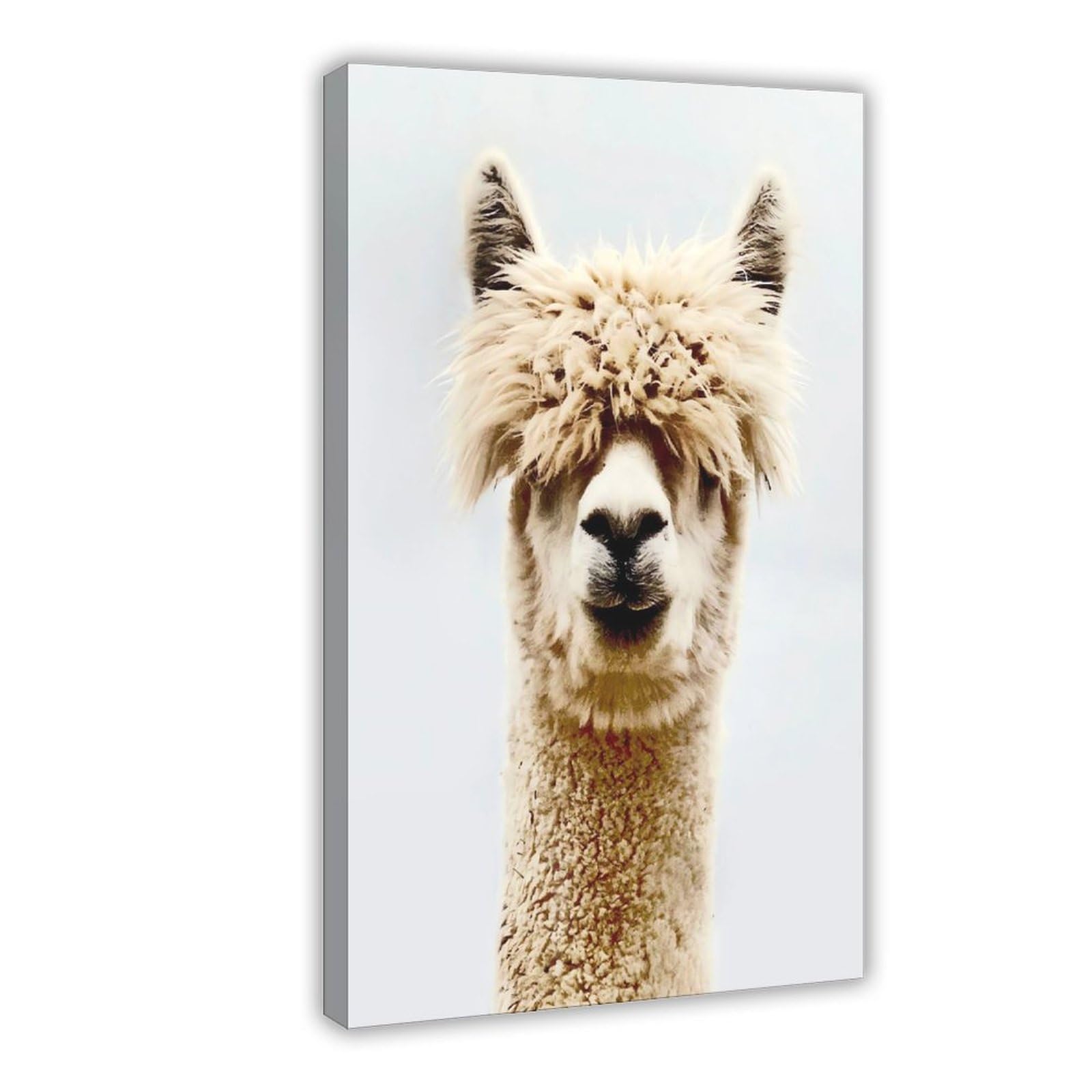 QNVJQKDSI Alpaca Animal Poster Canvas Poster Bedroom Decor Landscape Office Room Decor Gift 24" L X 36" W