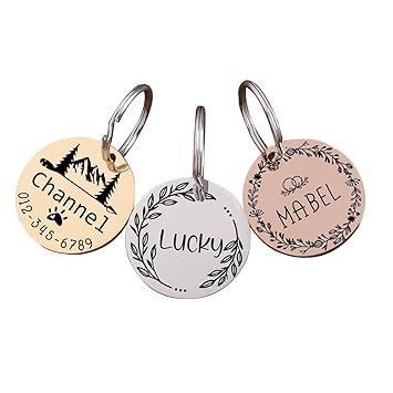 LUIGI Pet ID Personalized Stainless Steel Silver Laser Engraved Tag for Pets Dogs, Cats ID Customized Dog Tag (Large, Rose Gold)