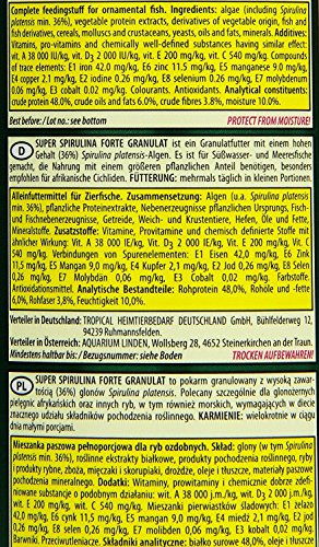 SUPER SPIRULINA FORTE GRANULAT - ração especial para todos os peixes ornamentais de água salgada ou