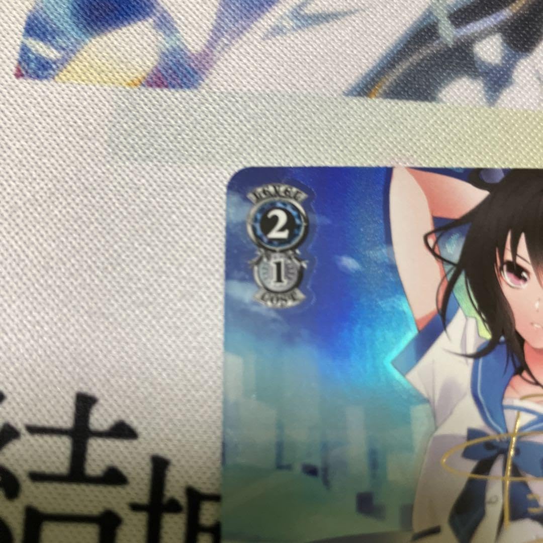 Amazon.co.jp: 獅子王機関の剣巫 雪菜 sp : おもちゃ