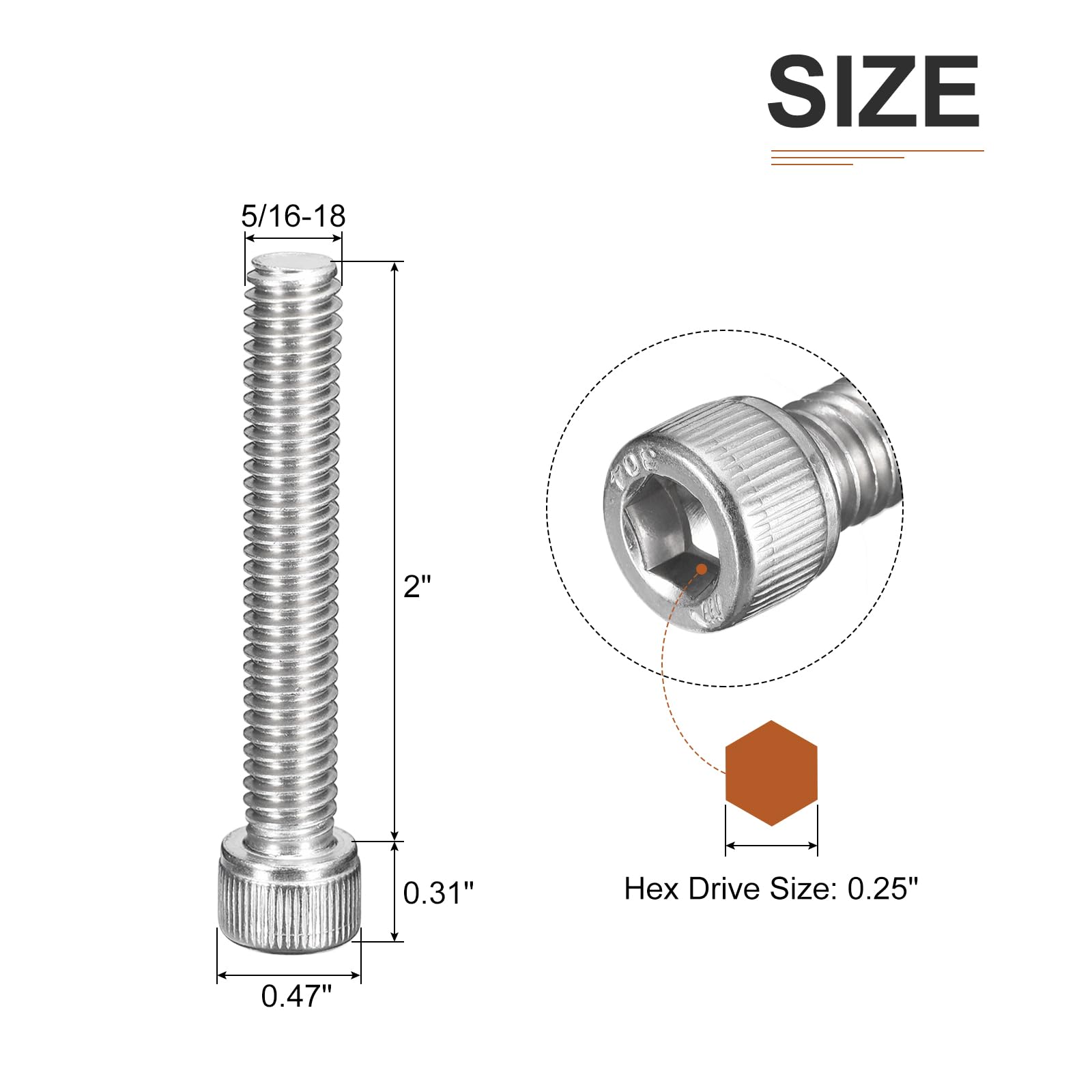 DTGN 5/16-18x2" Socket Head Cap Screws Bolts, 20Pcs 304 Stainless Steel 18-8, Machine Hex Socket Screw, Hex Drive - Image 2