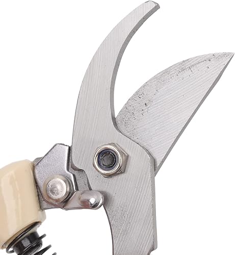 Miniatura 9 de Juego de herramientas de bonsái de 5 piezas con tijeras de podar de acero al carbono, cortador de ramas, tijeras, rastrillo y alicates, kit de