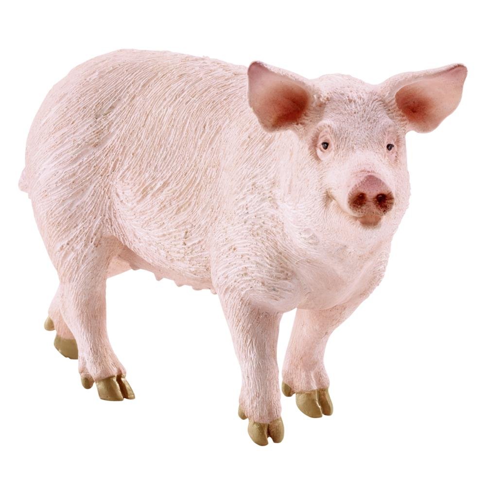 Scheich Pig, Multi Color, 10 x 2.9 x 5.5 Centimeters-image-4