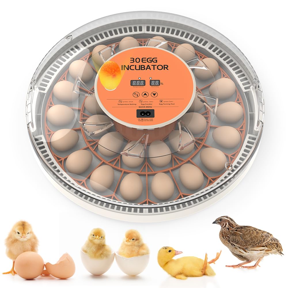 incubators for Hatching Eggs，30 Egg Incubator,Egg Incubator with Automatic Egg Turning，Incubator for Chicken Eggs，Chicken incubators for Hatching Eggs