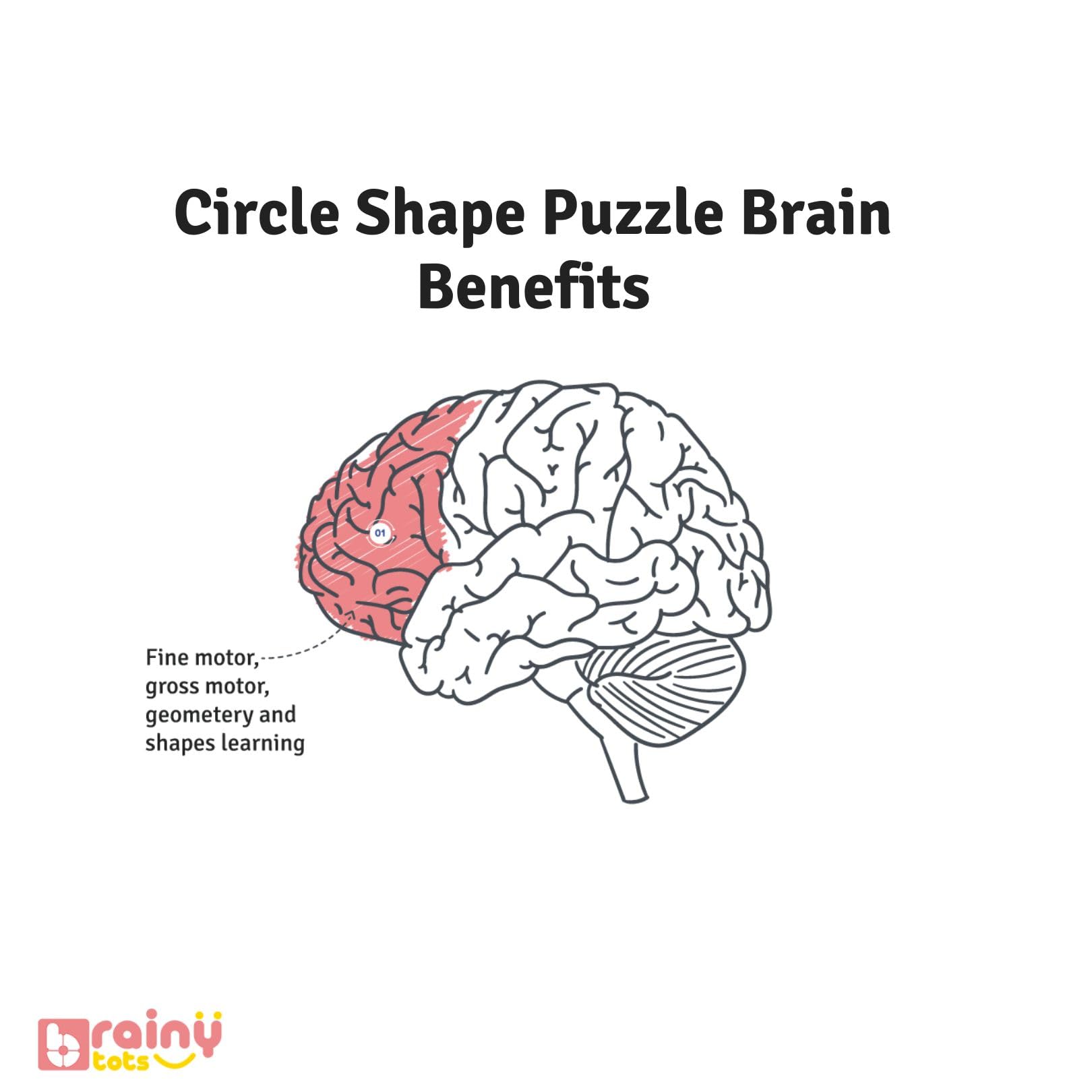 Brainytots Circle Shape Puzzle & Cylindrical Pincer Puzzle | Montessori Baby Toys for Fine Motor Skills & Problem Solving | Educational Gift for Babies 6+ Months | Safe, Durable & Fun Learning Toys 2