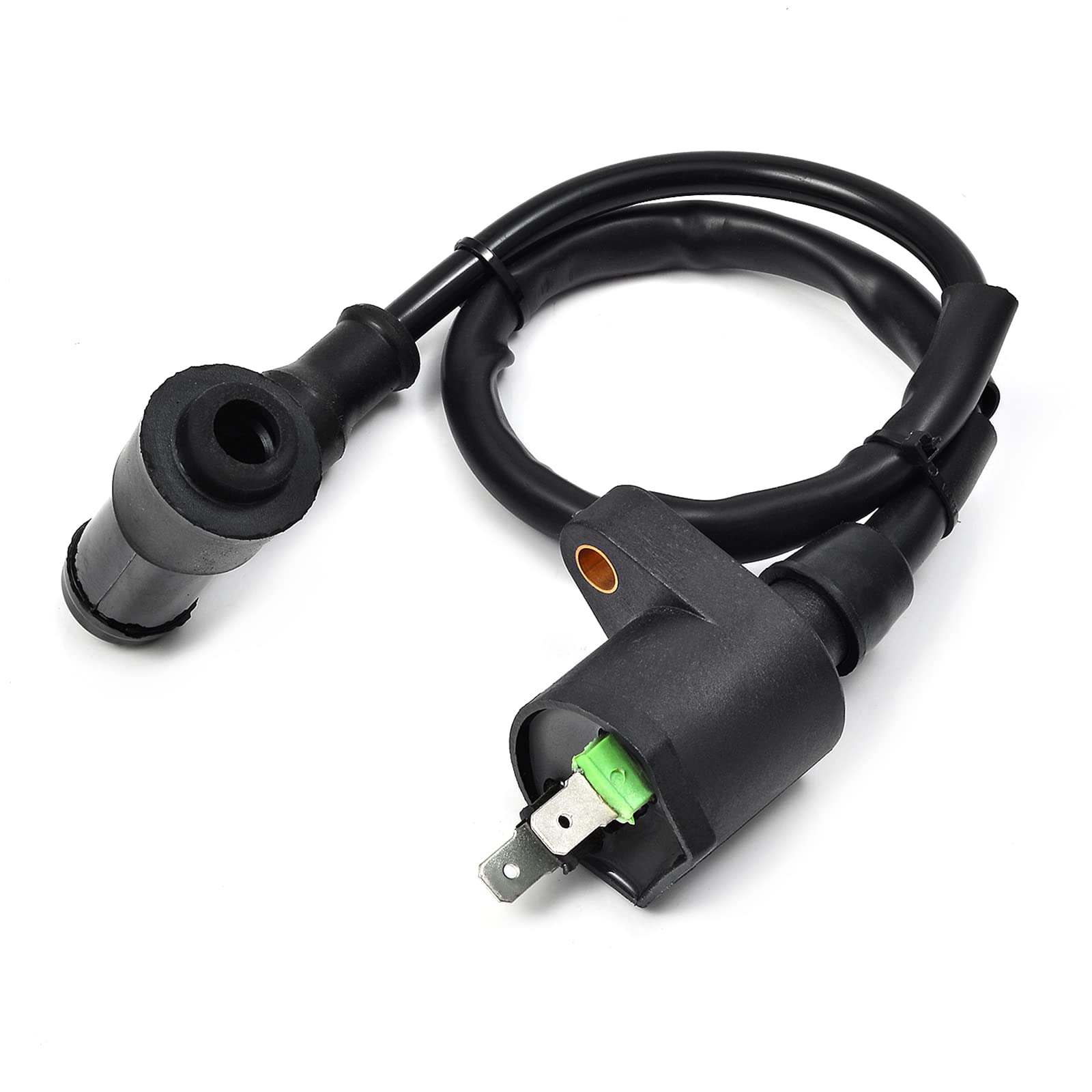 Amazon.com: Igniter CDI BOX Ignition Coil and Spark Plug