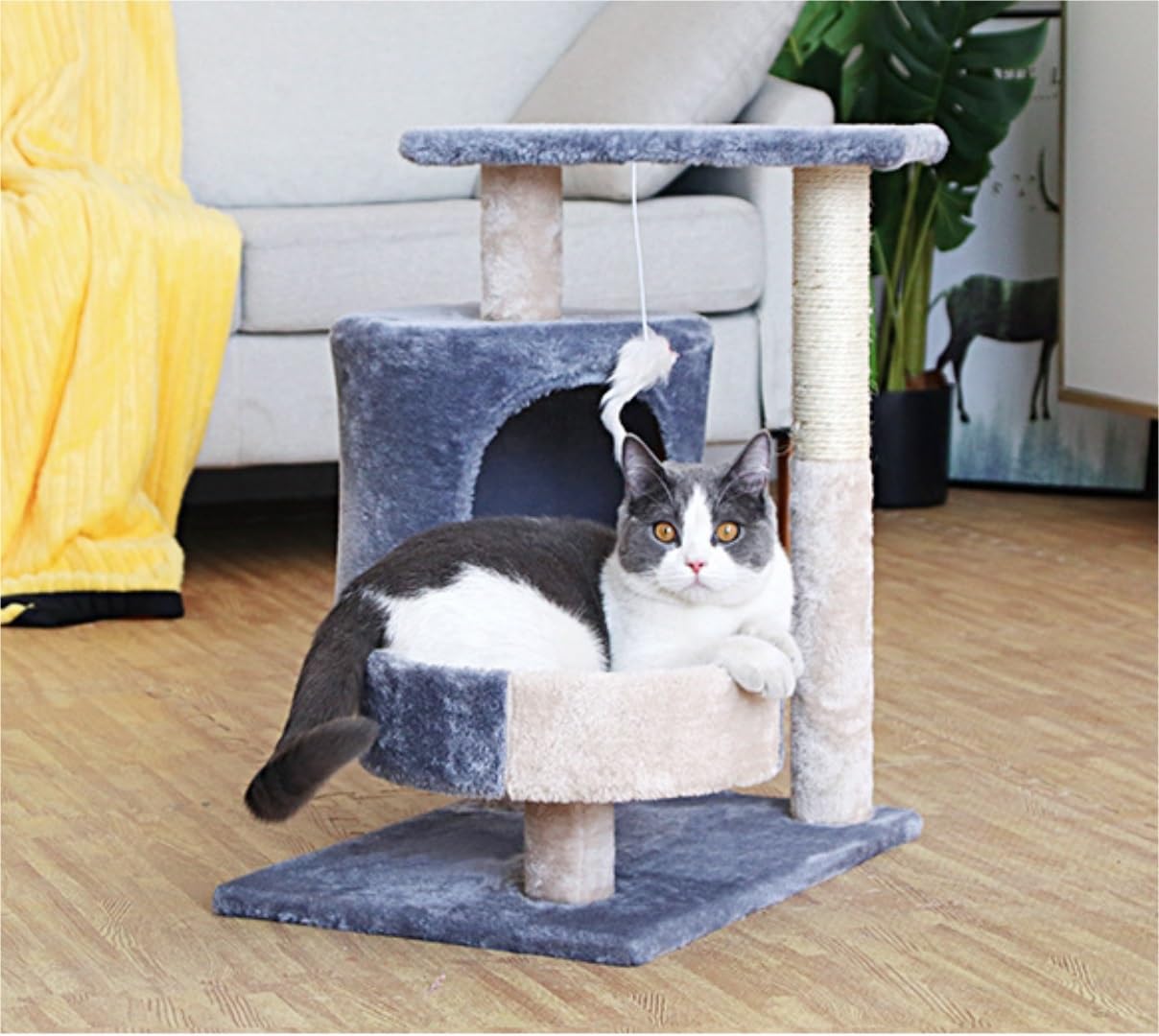 Albero Tiragraffi per Gatti Piattaforma di Riposo Tiragraffi per Gatti Torre per con Condominio per per per Arrampicarsi per