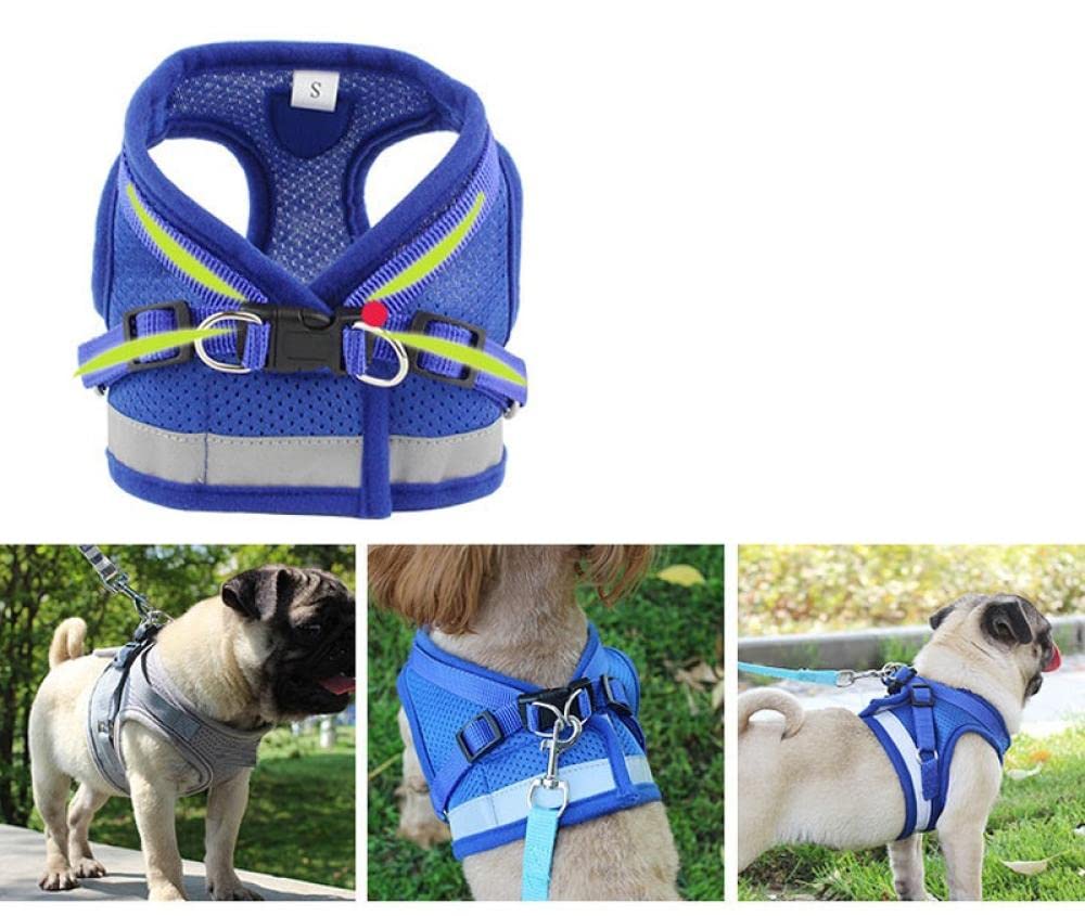 Harnais et Laisse réfléchissants en Nylon Rouge pour Chien et Chat, compatibles avec Les Petits et Moyens Chiens (Taille M) et Les Sacs de Transport pour Chien (Taille L).