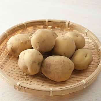なな ジャガイモ男爵30キロ 楽天市場】【ふるさと納税】【訳あり】北海道産じゃがいも 男爵
