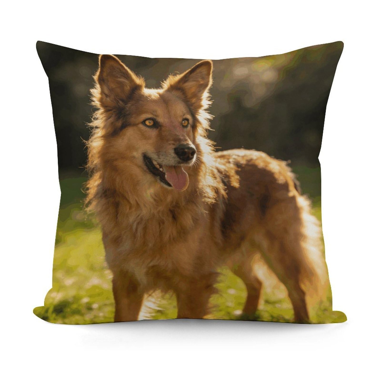 LZQPOEAS Dog Throw Pillow Cover 18 X 18 in Cozy Couch Pillow Covers Farmhouse Throw Pillow Case Modern Square Pillowcase Home Decor Cushion Cover for Bedroom Living Room