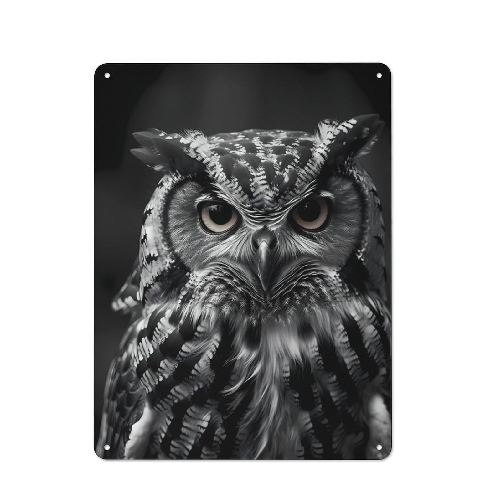 Nostalgic Owl Bird Decorative Tin Sign 40x30cm, Vintage Wall Decor for Lounge, Study, Pub Or Wall Gallery