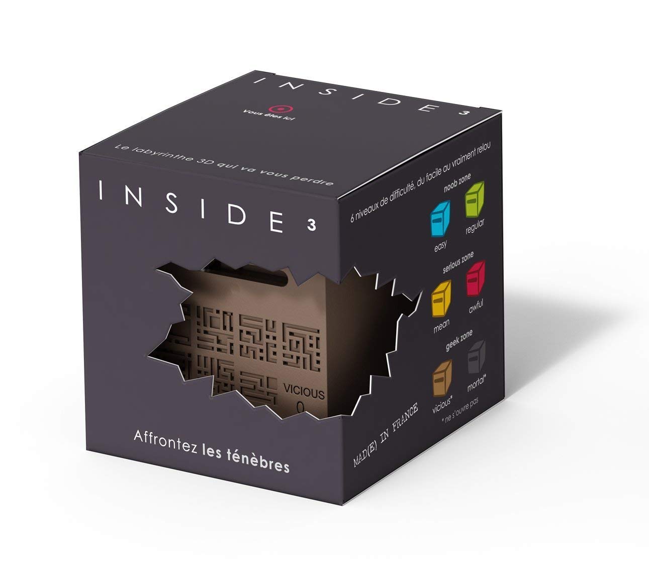 INSIDE3 Vicious0 labyrinth ()