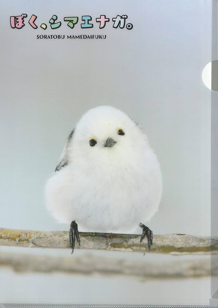 Amazon.co.jp: I, Shimaenaga Clear File A4 : Office Products