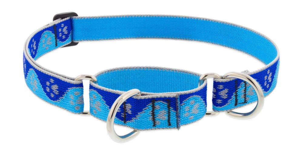 Lupine Reflective Martingale Dog Collar 1