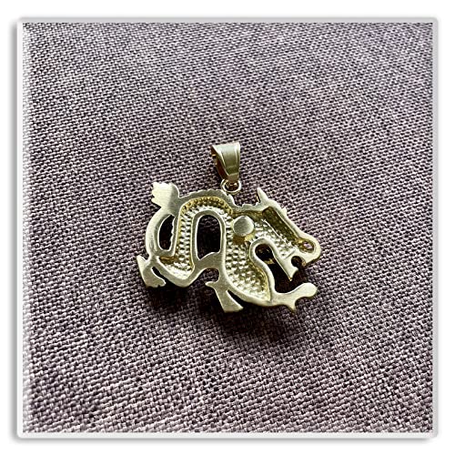 Xusamss Punk Rock Titanium Steel Dragon Pendant Necklace,22inches Link Chain3