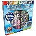 Zorbitz Joy of Coloring Stained Glass Window Art Kit