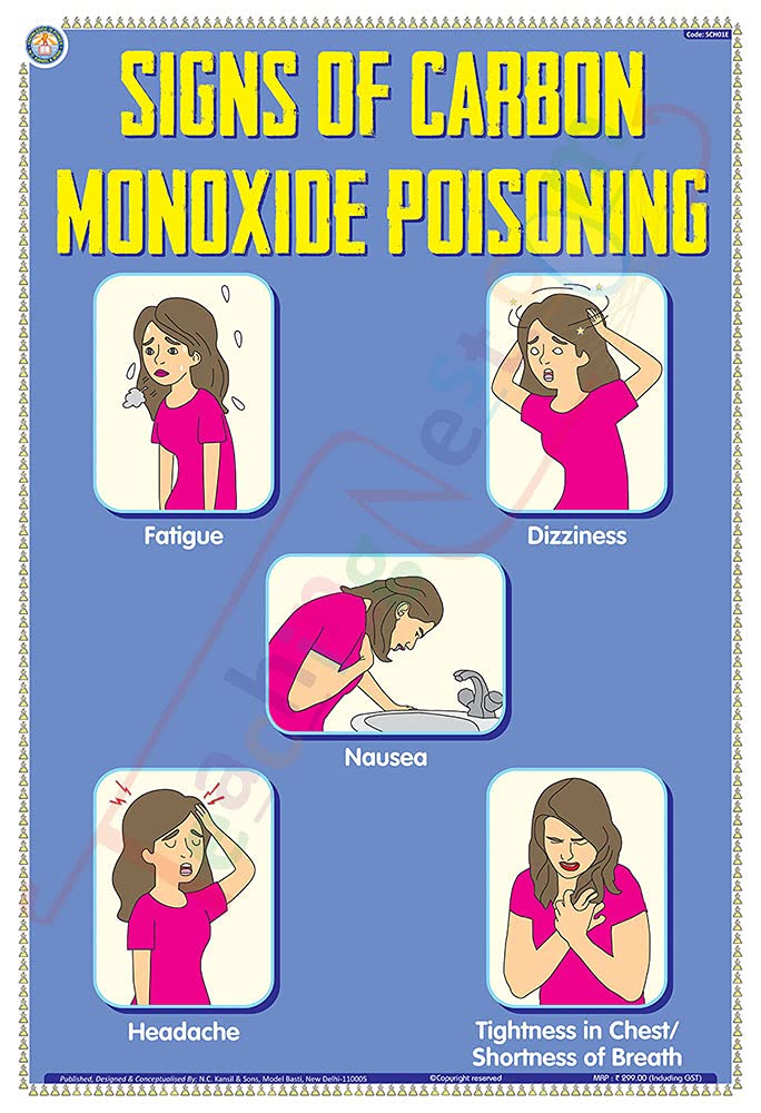 Buy TeachingNest Signs of Carbon Monoxide Poisoning English 33x48