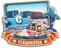 Vista 15 de Cocoa Beach - Imán para nevera de la colección de madera 3D de madera hecha a mano para viajes, recuerdos de la ciudad, decoración del hogar, regalo