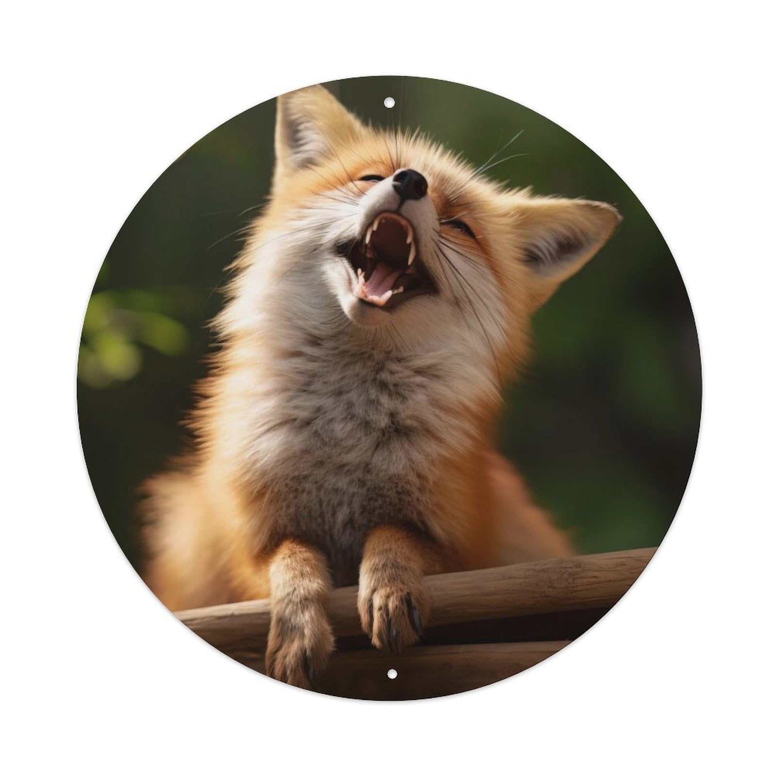 Wildlife Cute Fox Vintage Metal Tin Sign Plaque Wall Decor for Cafe, Club, Garden Round Metal Poster 8x8Inch