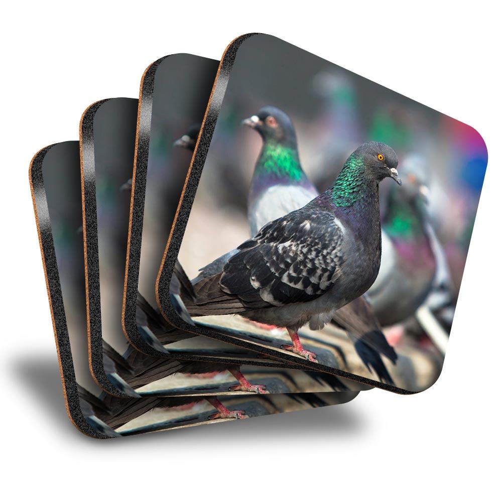 Destination Vinyl ltd Great Coasters (Set of 4) Square - Wild Wood Pigeons Pigeon Bird Drink Glossy Coasters/Tabletop Protection for Any Table Type #46446