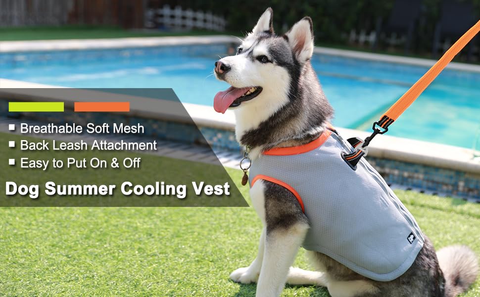 MOKCCI Truelove kühlweste für Hunde Hund Kühlweste Geschirr Kühler Jacke mit Verstellbare Reißverschluss für Outdoor Jagd Training und Camping