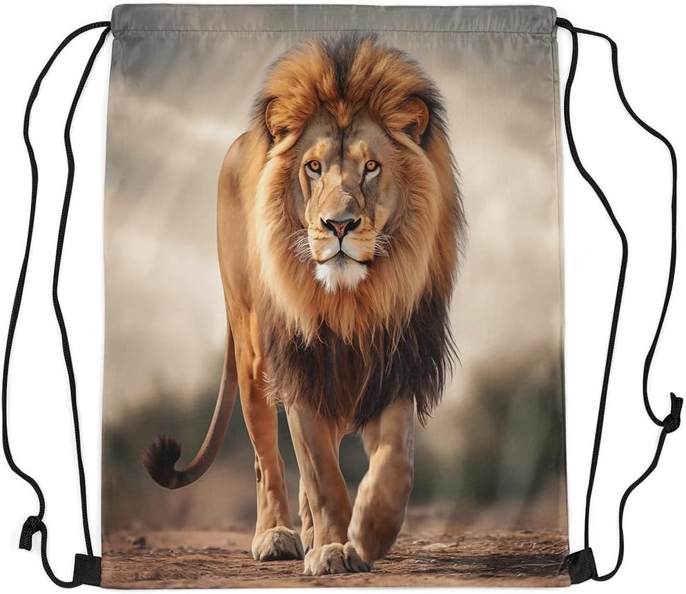 Feelyou Lion Sports Drawstring