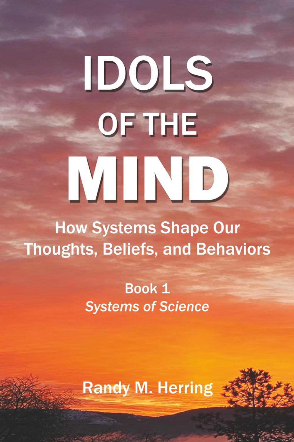 Idols of the Mind: How Systems Shape Our Thoughts, Beliefs, and Behaviors: 1 (Systems of Science)