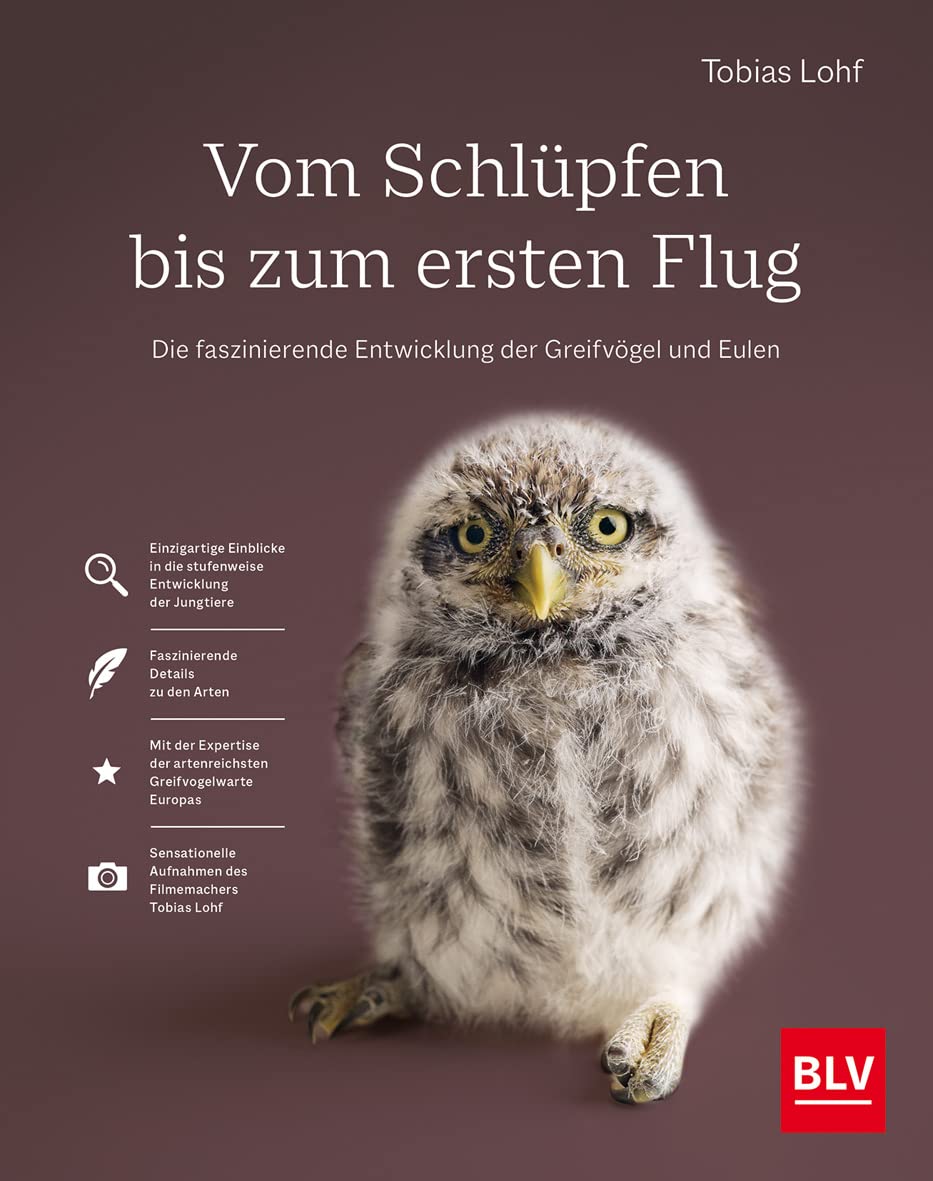 Blv Ein Imprint Von Gräfe Und Unzer Verlag Vom Schlüpfen Bis Zum Ersten Flug: Die Faszinierende Entwicklung Der Greifvögel Und Eulen (Blv Vögel)