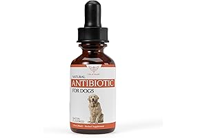 Oil of Oregano for Dogs: Natural Solution for Immunity and Wellness