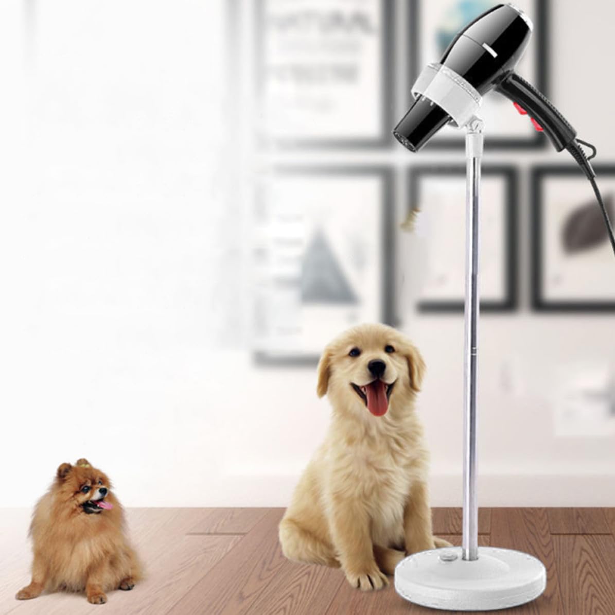 Supporto Libere e Animali Asciugacapelli Bianco Domestici Inossidabile in Plastico e Acciaio Design Mani Toelettatura e Asciugatura dei Cani