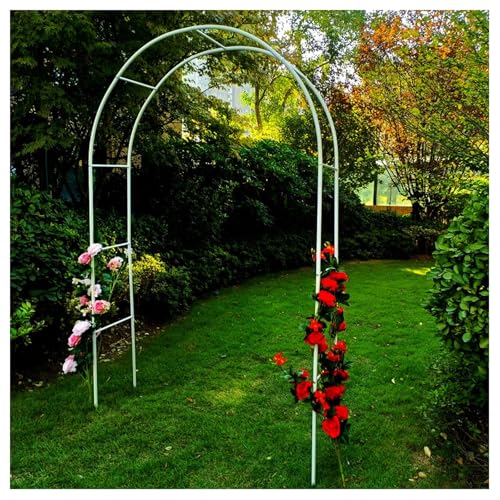 Arche de jardin robuste contre vent pour rosiers et fleurs