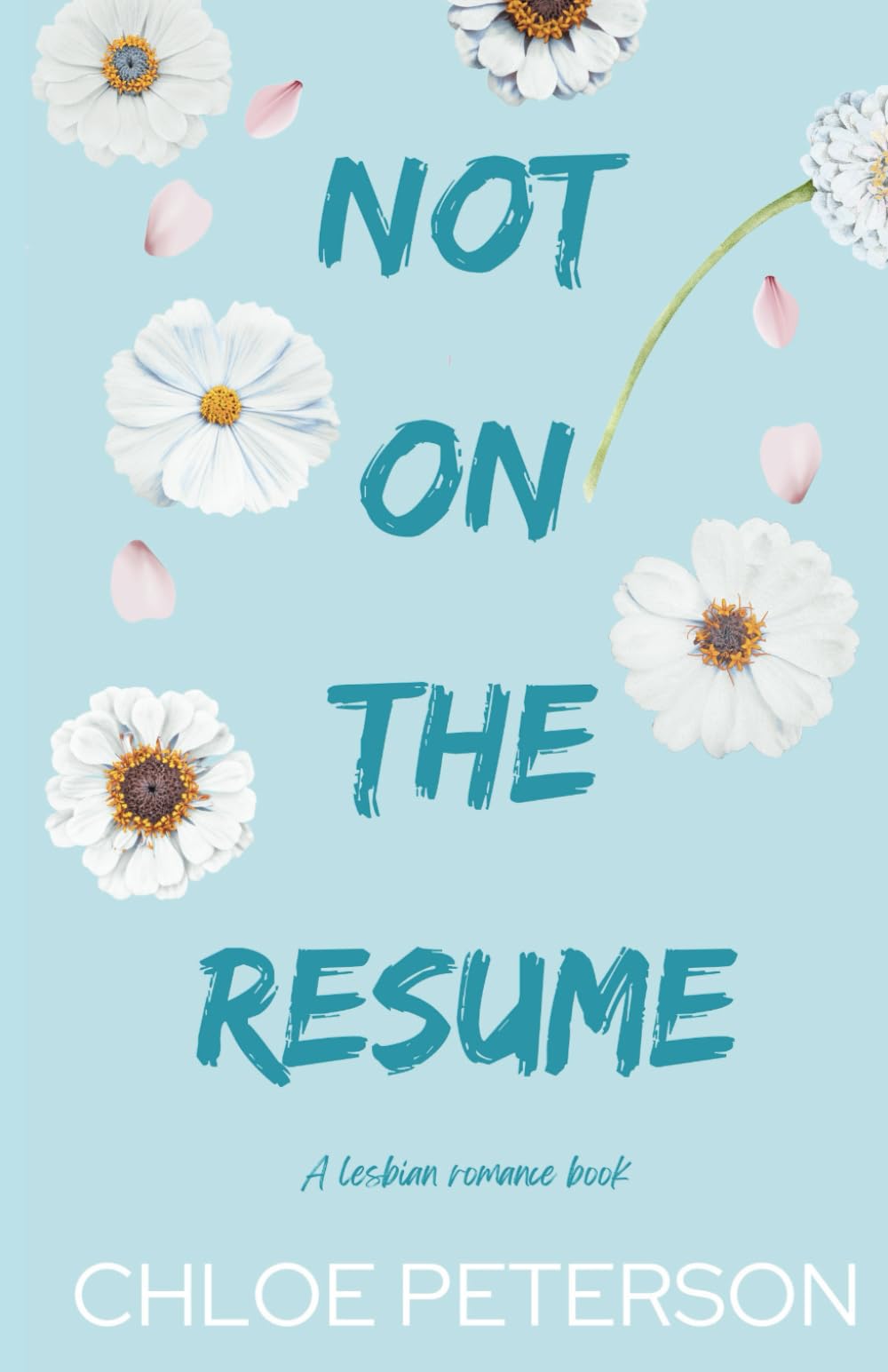 Not On The Resume (Unspoken Terms)