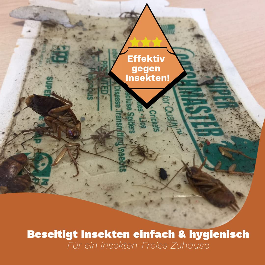 Catchmaster Pułapka na owady w dużym opakowaniu | nadaje się do zwalczania pająków, karaluchów, chrząszczów i moli