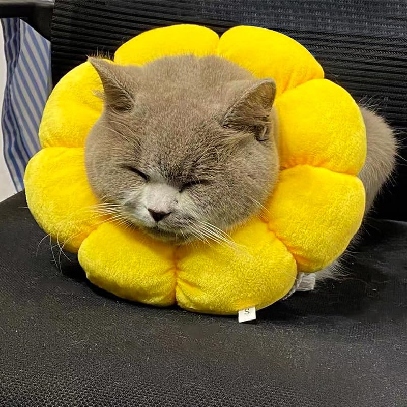 Collarín para Gato,Collarín Ajustable para Gato,Collar de protección contra Fugas de Gato para Perro pequeño, Collar de recuperación para gatos,Collar Isabelino Gato Perro,L