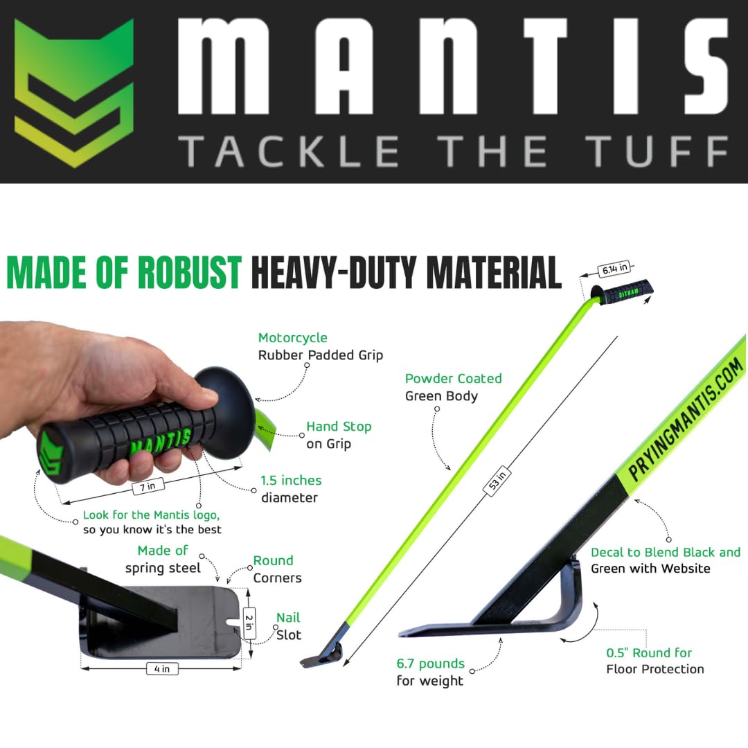 Mantis