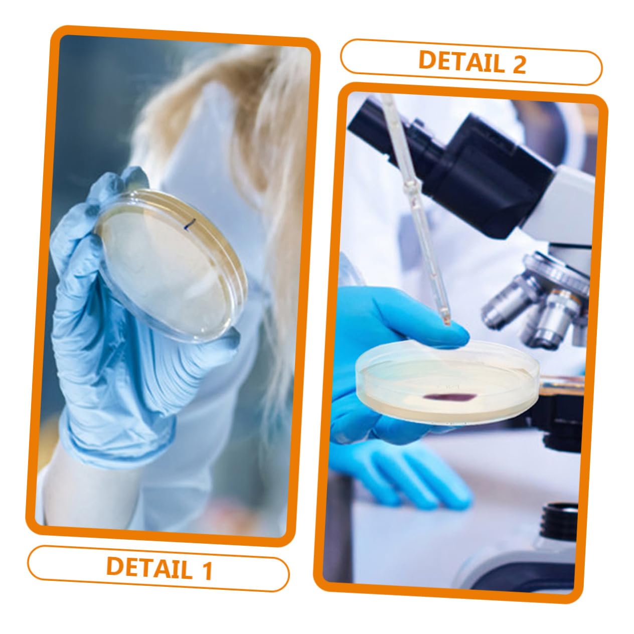 20 Pz Piastra Di Agar Nutriente Piastre Di Petri Con Agar Piastre Di Agar Per Esperimenti Piastra Di Petri Piastre Di Agar Petri Piatti Di Agar Ai 7c Ordinario Attrezzatura