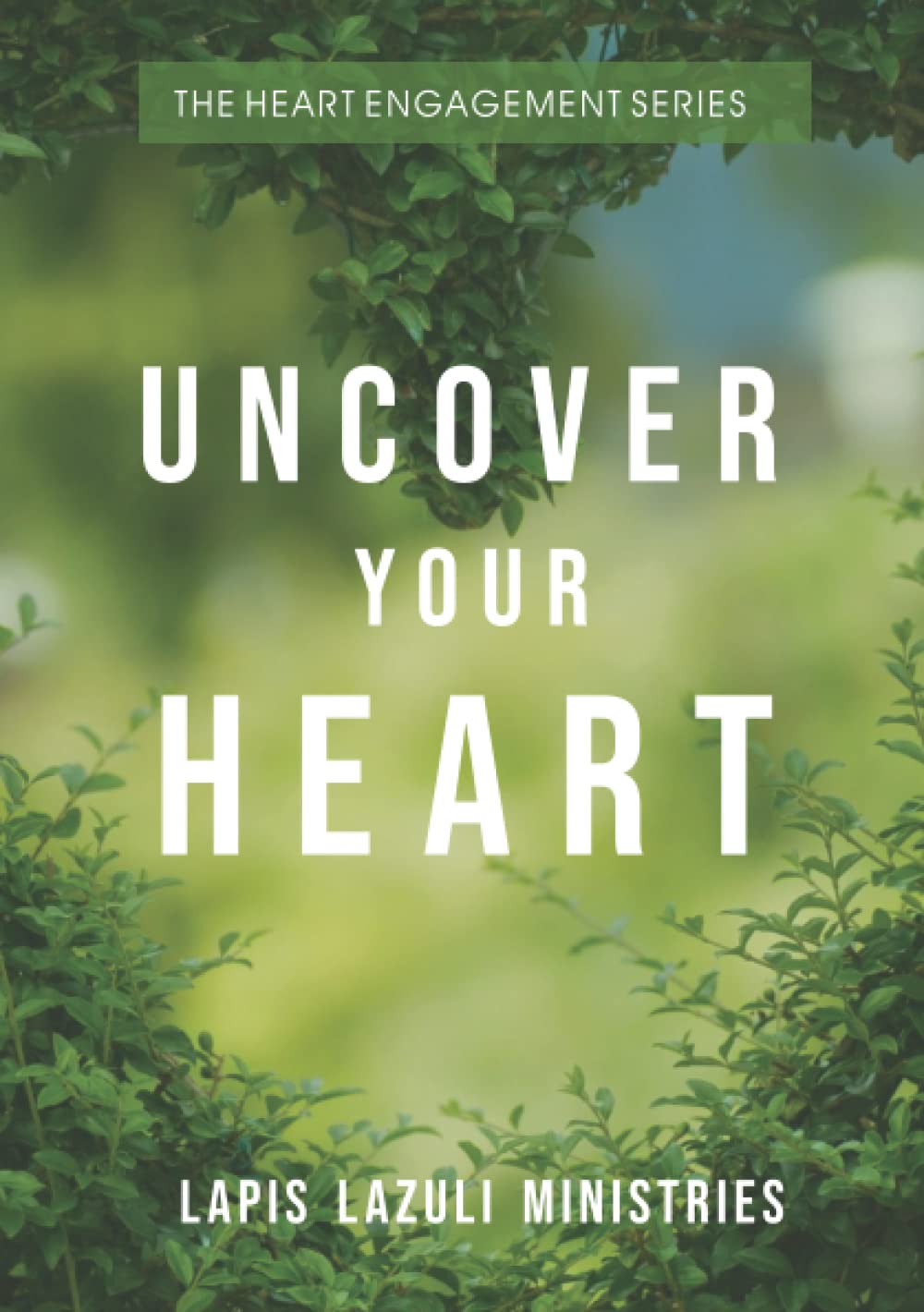 The Heart Engagement Series: Uncover Your Heart