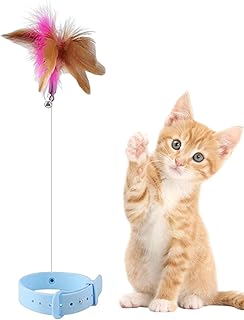 varinha para gatos – Varinha provocação gatos, coleira silicone ajustável com sino, varinha gato penas com varinha aço espesso, brinquedos flexíveis para coleira penas para gatos, brinquedos interativos para gatos