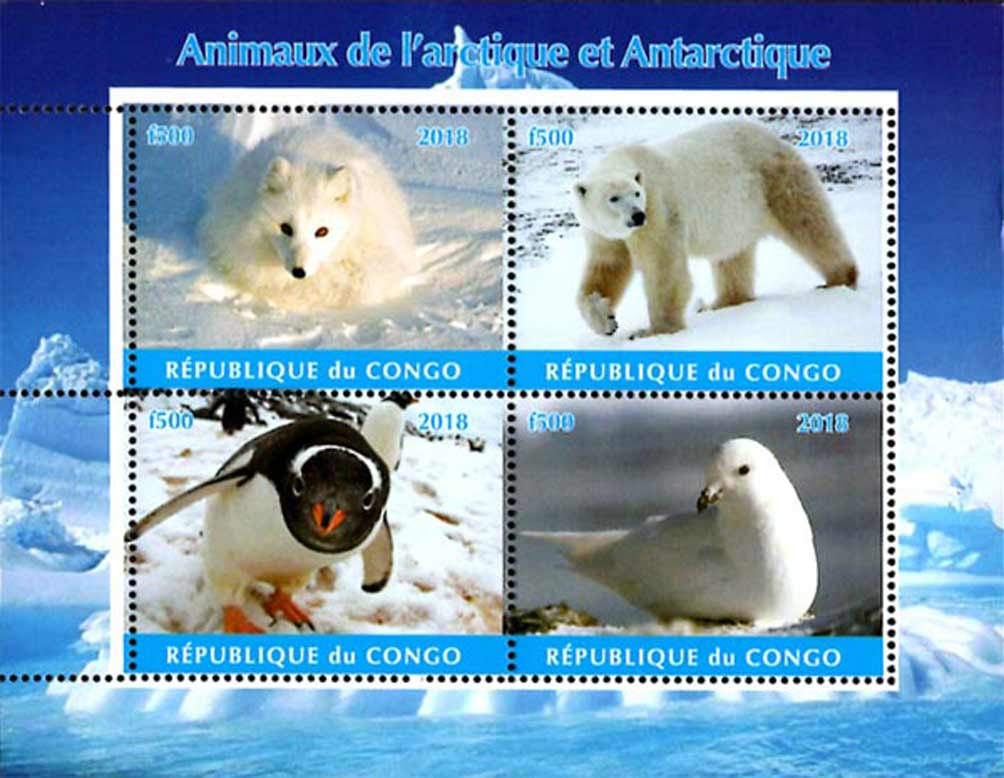 Stamps-Hobby: Congo 2018 Anterlica Animals Polar Bear Bird Penguin | 4v Mint Thematic Stamps (1 Souvenir Sheet).