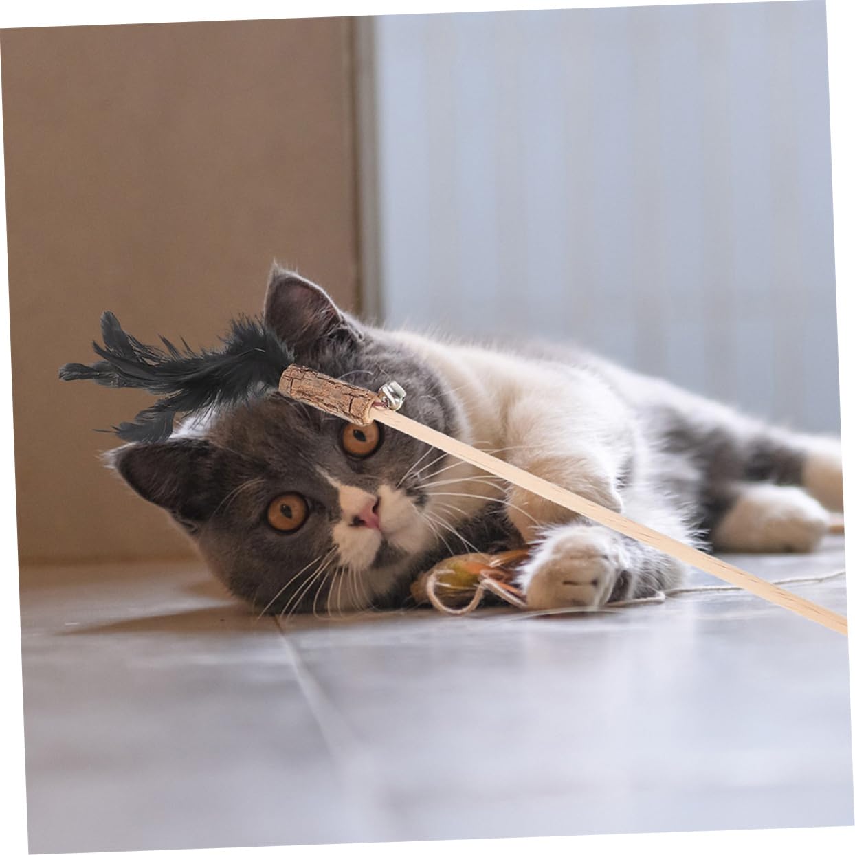 Sosoport 5 Set Di Canne Da Pesca Per Gatti Gioco Interattivo Attraente Gioco Da Appendere Per Gatti 3 Pezzi * 5