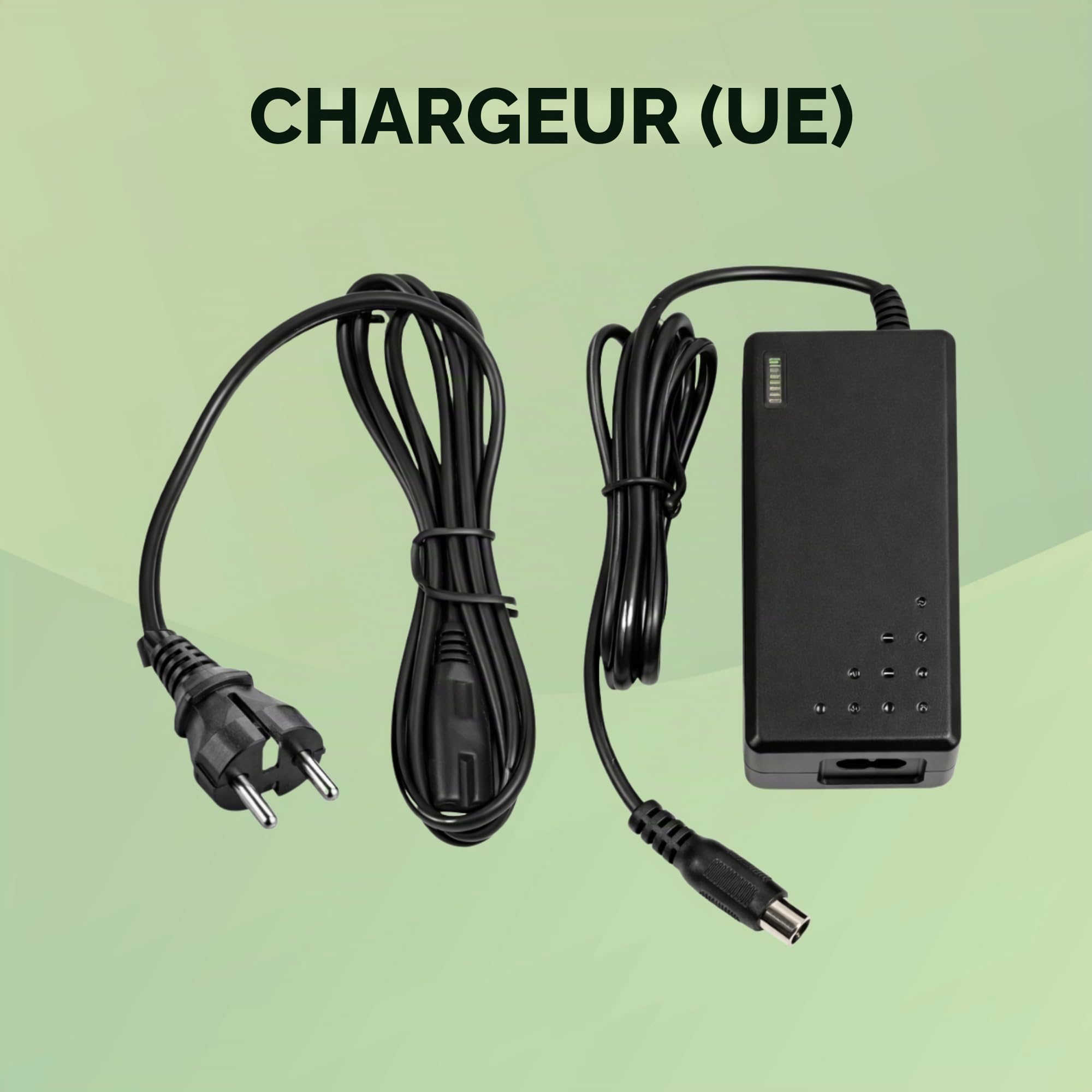 Ultramax LiFePO4 Batterie pour chariot de golf 18 trous au lithium fer phosphate avec USB intégré
