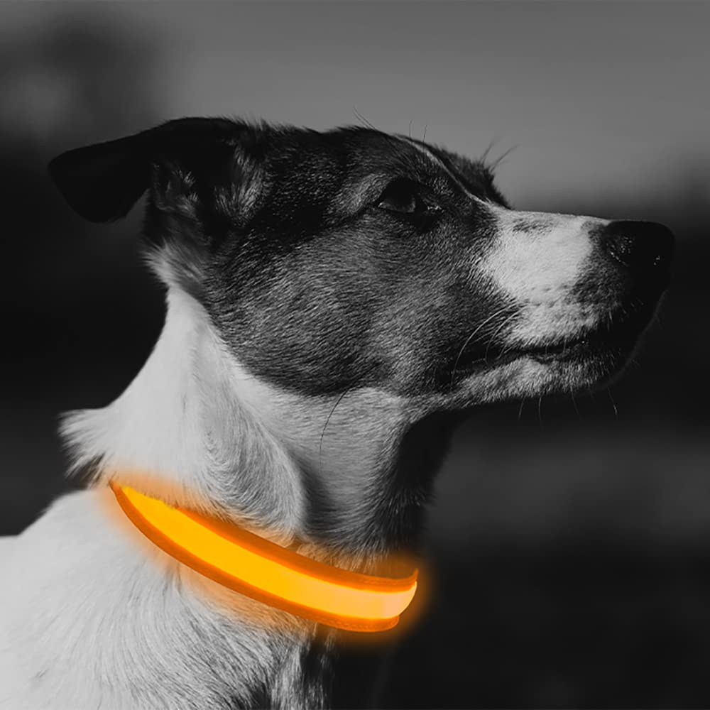 Collar Antiladridos Collar Luminoso Para Perro Recargable USB - Resistente Al Agua, 3 Modos De Luz, Talla Ajustable Collar Led Mascotas
