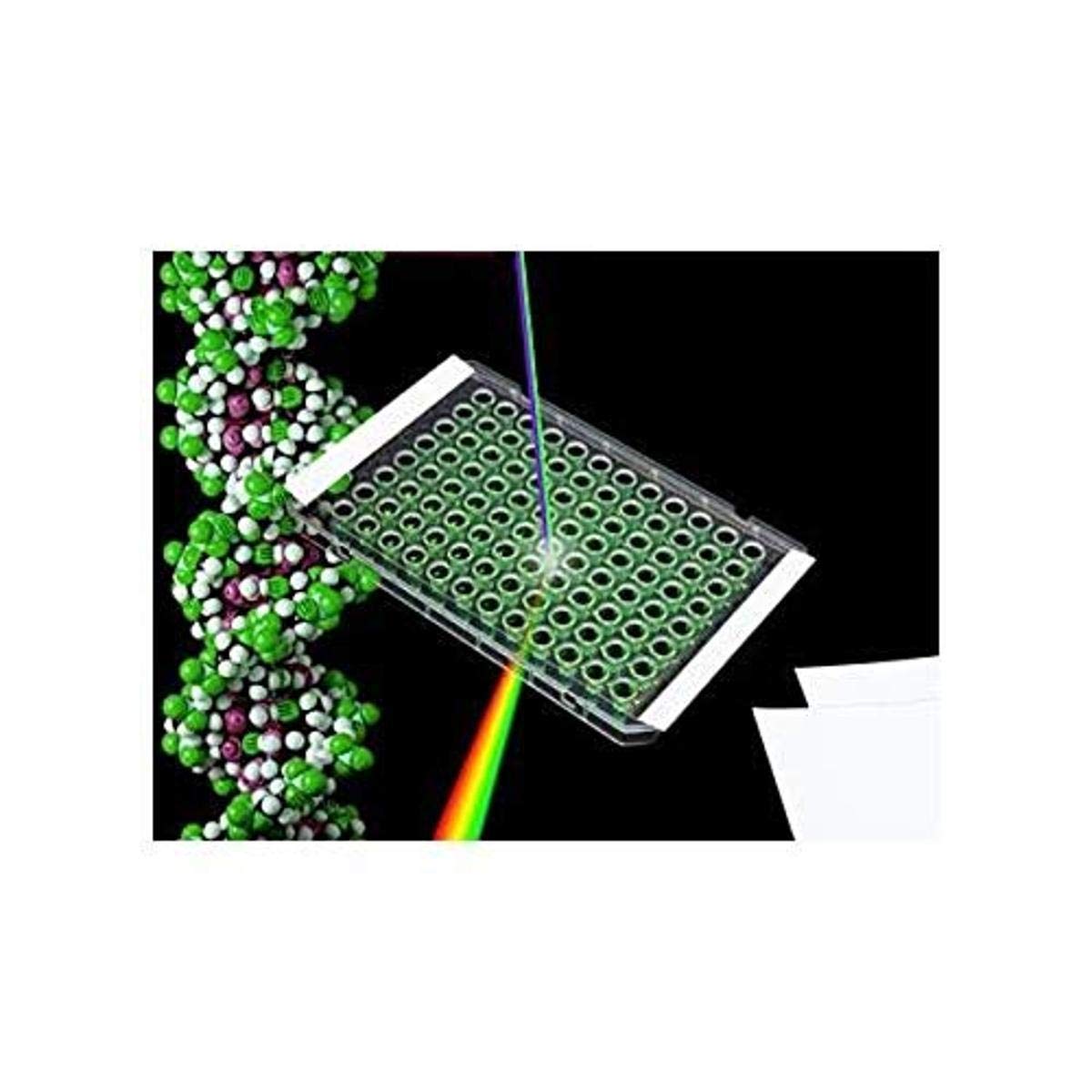 Excel Scientific ThermalSeal RTS TSS-RTQ-100 Polyolefin Sealing Film for qPCR, Storage & Crystallization, Non Sterile (Case of 100)