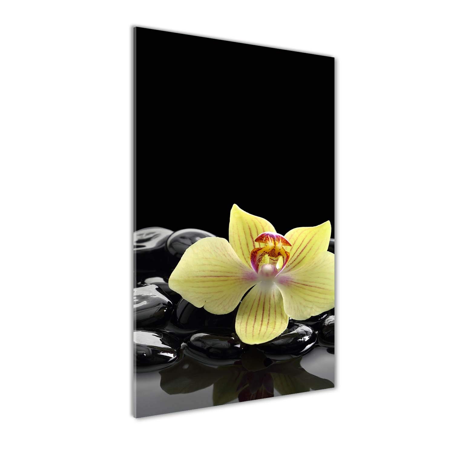 Tableau sur Verre Orchidée et Pierres Noir pour Cuisine et Salon