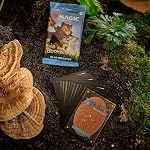 Magic: The Gathering Bloomburrow Play Booster Box - 36 Packs (504 Magic Cards) - Image 4