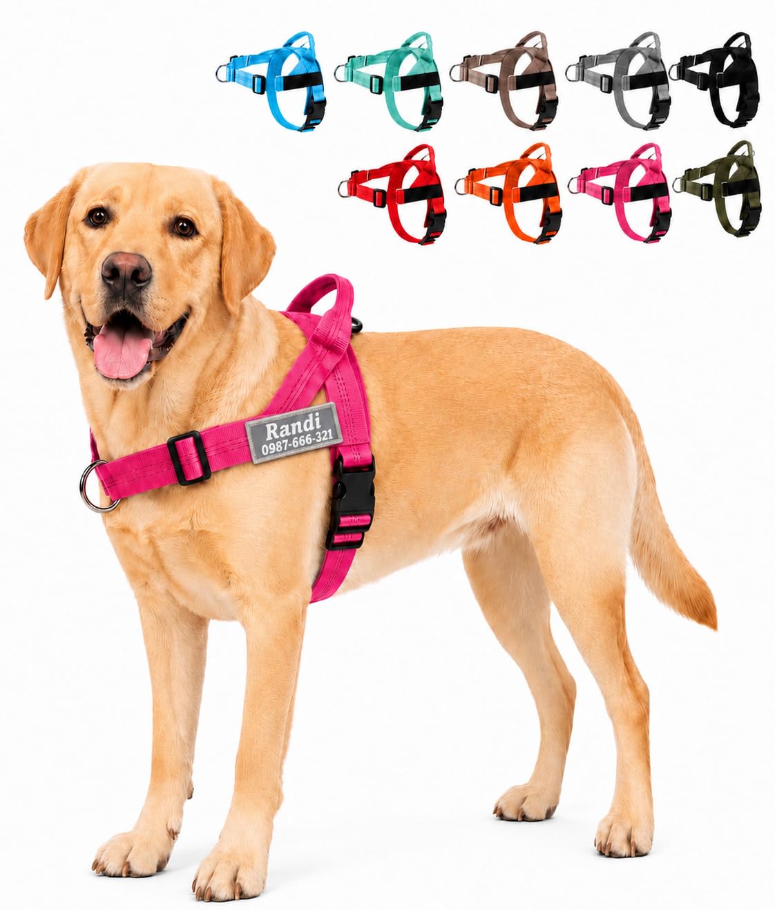 Personalised No Pull Dog Harness with Custom Name Phone Number