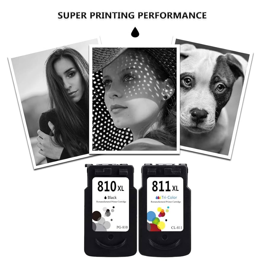 Amazon.co.jp: LEBOK Canon PG-810 CL-811 PG810 CL811 XL