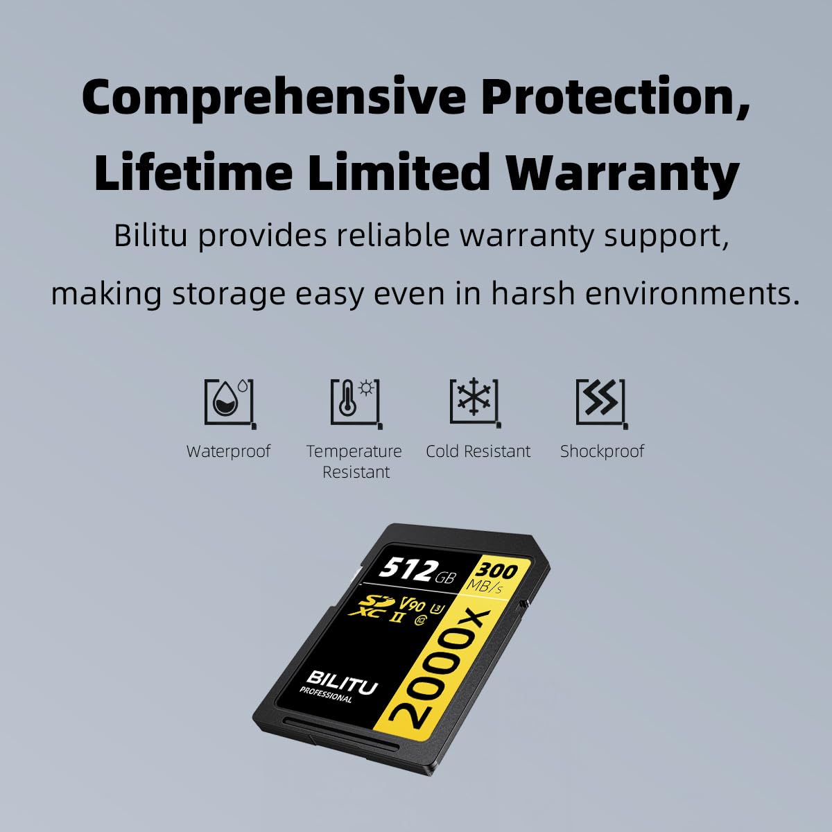 BILITU Tarjeta de memoria SD profesional de 64 GB, UHS-II, V90, Full HD y video 4K, con una velocidad de lectura de hasta 280 MB/s, adecuada para fotógrafos profesionales, videógrafos y entusiastas