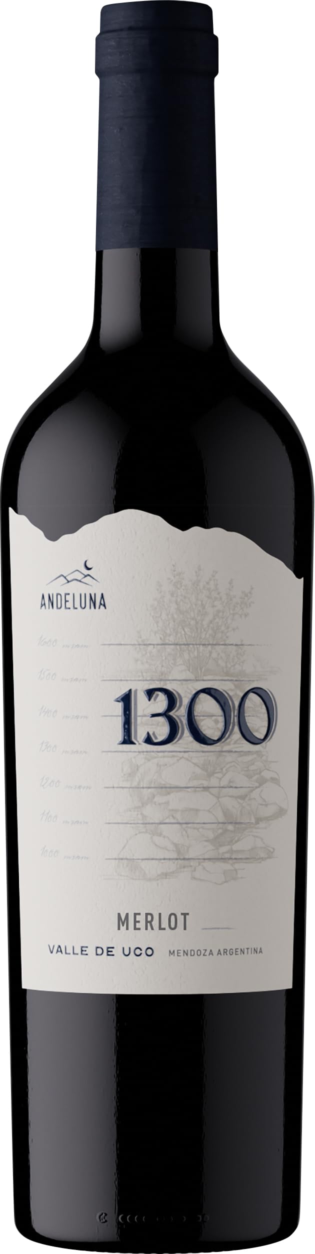 Andeluna Merlot 1300 Argentinien Rotwein trocken (1 x 0.75 l)