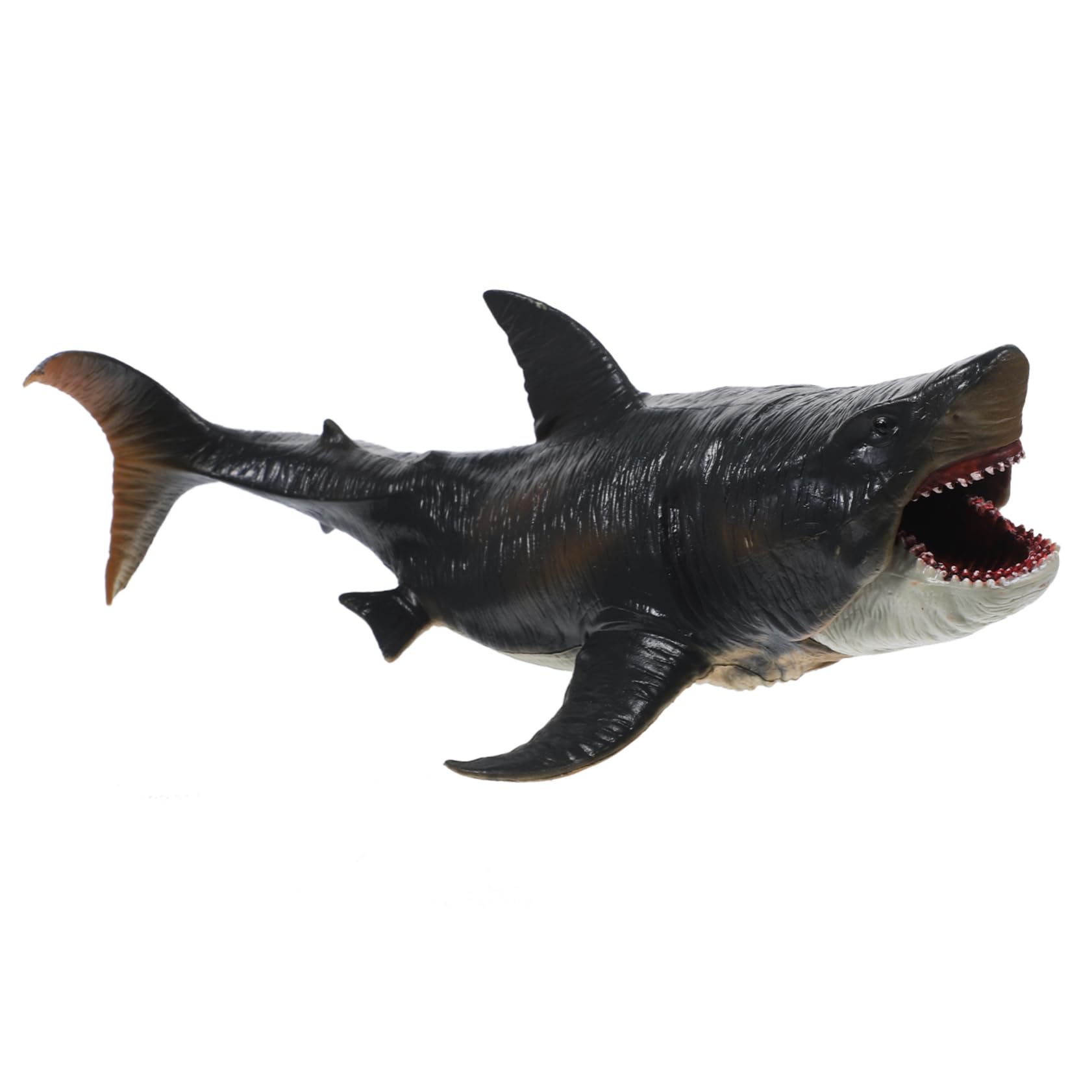 Amazon.co.jp: jojofuny リアルなサメの置物 デスクトップ装飾用 サメ